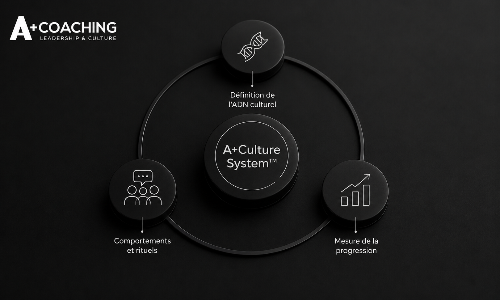 Schéma A+Culture System™ — ADN culturel, comportements, mesure